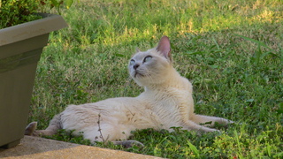 Filename=IMG_0115.JPG
Filesize=1305KiB
Dimensions=1920x1080
Date added=Sep 28, 2019 IMG_0115.JPG