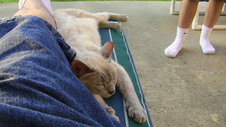 Filename=IMG_0119.JPG
Filesize=1320KiB
Dimensions=1920x1080
Date added=Sep 28, 2019 IMG_0119.JPG