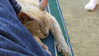 Filename=IMG_0121.JPG
Filesize=1184KiB
Dimensions=1920x1080
Date added=Sep 28, 2019 IMG_0121.JPG