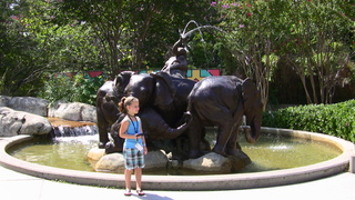 Filename=IMG_0486.JPG
Filesize=1422KiB
Dimensions=1920x1080
Date added=Sep 28, 2019 IMG_0486.JPG