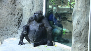 Filename=IMG_0487.JPG
Filesize=1171KiB
Dimensions=1920x1080
Date added=Sep 28, 2019 IMG_0487.JPG