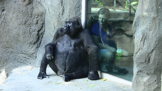 Filename=IMG_0488.JPG
Filesize=1355KiB
Dimensions=1920x1080
Date added=Sep 28, 2019 IMG_0488.JPG