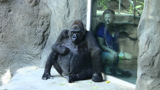 Filename=IMG_0489.JPG
Filesize=1168KiB
Dimensions=1920x1080
Date added=Sep 28, 2019 IMG_0489.JPG