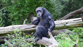 Filename=IMG_0491.JPG
Filesize=1504KiB
Dimensions=1920x1080
Date added=Sep 28, 2019 IMG_0491.JPG