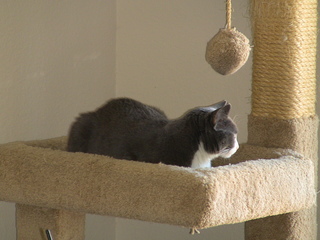 Filename=IMG_1140.JPG
Filesize=1500KiB
Dimensions=2048x1536
Date added=Sep 28, 2019 IMG_1140.JPG