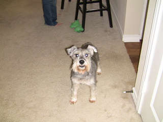 Filename=IMG_1142.JPG
Filesize=1542KiB
Dimensions=2048x1536
Date added=Sep 28, 2019 IMG_1142.JPG