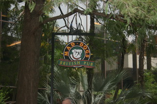 Filename=IMG_9781.JPG
Filesize=1881KiB
Dimensions=3888x2592
Date added=Sep 26, 2019 IMG_9781.JPG