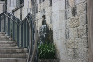 Filename=IMG_9782.JPG
Filesize=2087KiB
Dimensions=3888x2592
Date added=Sep 26, 2019 IMG_9782.JPG