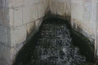 Filename=IMG_9783.JPG
Filesize=1999KiB
Dimensions=3888x2592
Date added=Sep 26, 2019 IMG_9783.JPG