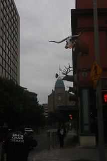 Filename=IMG_9803.JPG
Filesize=1360KiB
Dimensions=2592x3888
Date added=Sep 26, 2019 IMG_9803.JPG