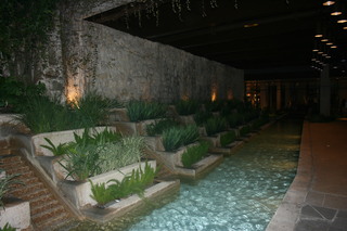 Filename=IMG_9813.JPG
Filesize=2011KiB
Dimensions=3888x2592
Date added=Sep 26, 2019 IMG_9813.JPG