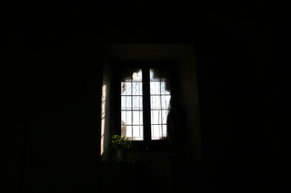 Filename=IMG_9856.JPG
Filesize=943KiB
Dimensions=3888x2592
Date added=Sep 26, 2019 IMG_9856.JPG