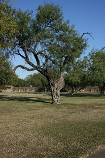 Filename=IMG_9865.JPG
Filesize=3221KiB
Dimensions=2592x3888
Date added=Sep 26, 2019 IMG_9865.JPG