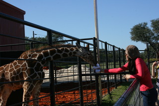 Filename=IMG_9892.JPG
Filesize=1973KiB
Dimensions=3888x2592
Date added=Sep 26, 2019 IMG_9892.JPG