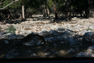 Filename=IMG_9903.JPG
Filesize=2291KiB
Dimensions=3888x2592
Date added=Sep 26, 2019 IMG_9903.JPG