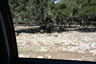 Filename=IMG_9905.JPG
Filesize=3311KiB
Dimensions=3888x2592
Date added=Sep 26, 2019 IMG_9905.JPG