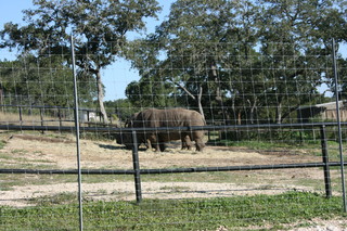 Filename=IMG_9918.JPG
Filesize=3239KiB
Dimensions=3888x2592
Date added=Sep 26, 2019 IMG_9918.JPG