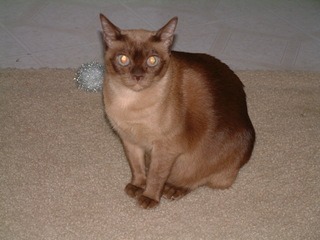 Filename=Mona_1-31-02-_011.jpg
Filesize=1216KiB
Dimensions=2048x1536
Date added=Sep 28, 2019 Mona_1-31-02-_011.jpg