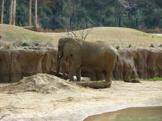 Filename=P1040842.JPG
Filesize=5717KiB
Dimensions=4320x3240
Date added=Sep 28, 2019 P1040842.JPG