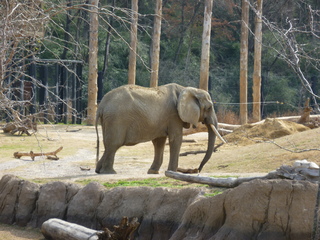 Filename=P1040846.JPG
Filesize=5787KiB
Dimensions=4320x3240
Date added=Sep 28, 2019 P1040846.JPG