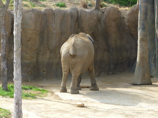 Filename=P1040847.JPG
Filesize=5946KiB
Dimensions=4320x3240
Date added=Sep 28, 2019 P1040847.JPG