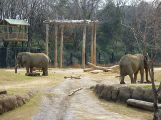 Filename=P1040848.JPG
Filesize=5444KiB
Dimensions=4320x3240
Date added=Sep 28, 2019 P1040848.JPG