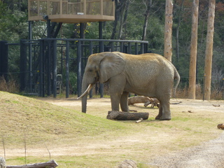 Filename=P1040849.JPG
Filesize=5854KiB
Dimensions=4320x3240
Date added=Sep 28, 2019 P1040849.JPG