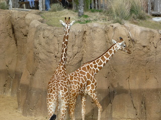 Filename=P1040876.JPG
Filesize=5509KiB
Dimensions=4320x3240
Date added=Sep 28, 2019 P1040876.JPG