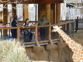 Filename=P1040877.JPG
Filesize=5845KiB
Dimensions=4320x3240
Date added=Sep 28, 2019 P1040877.JPG