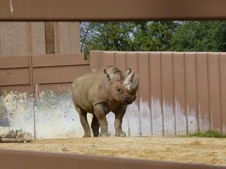 Filename=P1040881.JPG
Filesize=5744KiB
Dimensions=4320x3240
Date added=Sep 28, 2019 P1040881.JPG