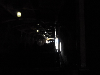 Filename=P1060512.JPG
Filesize=2004KiB
Dimensions=4320x3240
Date added=Sep 26, 2019 P1060512.JPG