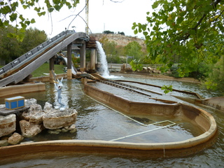 Filename=P1060525.JPG
Filesize=5762KiB
Dimensions=4320x3240
Date added=Sep 26, 2019 P1060525.JPG