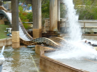 Filename=P1060529.JPG
Filesize=5391KiB
Dimensions=4320x3240
Date added=Sep 26, 2019 P1060529.JPG