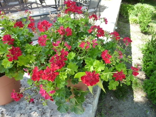 Filename=P1060704.JPG
Filesize=5961KiB
Dimensions=4320x3240
Date added=Sep 27, 2019 P1060704.JPG