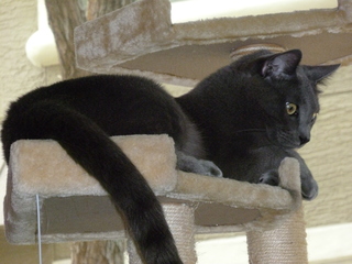 Filename=P1060726.JPG
Filesize=5737KiB
Dimensions=4320x3240
Date added=Sep 27, 2019 P1060726.JPG