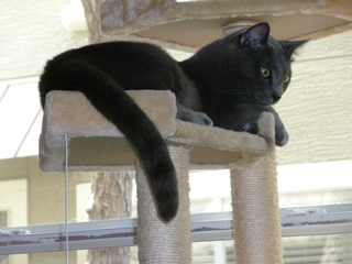 Filename=P1060727.JPG
Filesize=5325KiB
Dimensions=4320x3240
Date added=Sep 27, 2019 P1060727.JPG