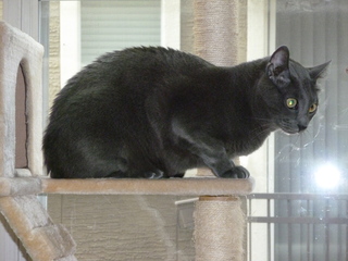 Filename=P1060728.JPG
Filesize=5990KiB
Dimensions=4320x3240
Date added=Sep 27, 2019 P1060728.JPG