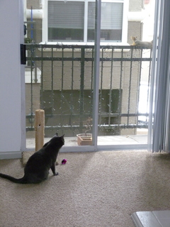 Filename=P1060729.JPG
Filesize=5152KiB
Dimensions=3240x4320
Date added=Sep 27, 2019 P1060729.JPG