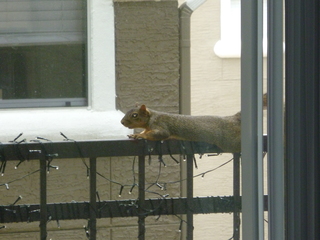 Filename=P1060730.JPG
Filesize=5422KiB
Dimensions=4320x3240
Date added=Sep 27, 2019 P1060730.JPG