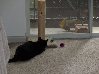 Filename=P1060734.JPG
Filesize=5790KiB
Dimensions=4320x3240
Date added=Sep 27, 2019 P1060734.JPG