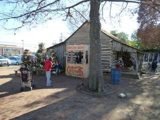 Filename=P1060737.JPG
Filesize=5994KiB
Dimensions=4320x3240
Date added=Sep 26, 2019 P1060737.JPG