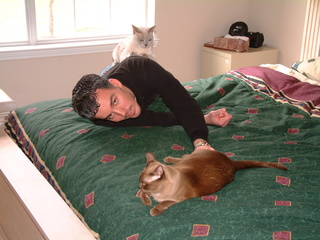 Filename=kitties_2-2-02-_001.jpg
Filesize=1285KiB
Dimensions=2048x1536
Date added=Sep 28, 2019 kitties_2-2-02-_001.jpg