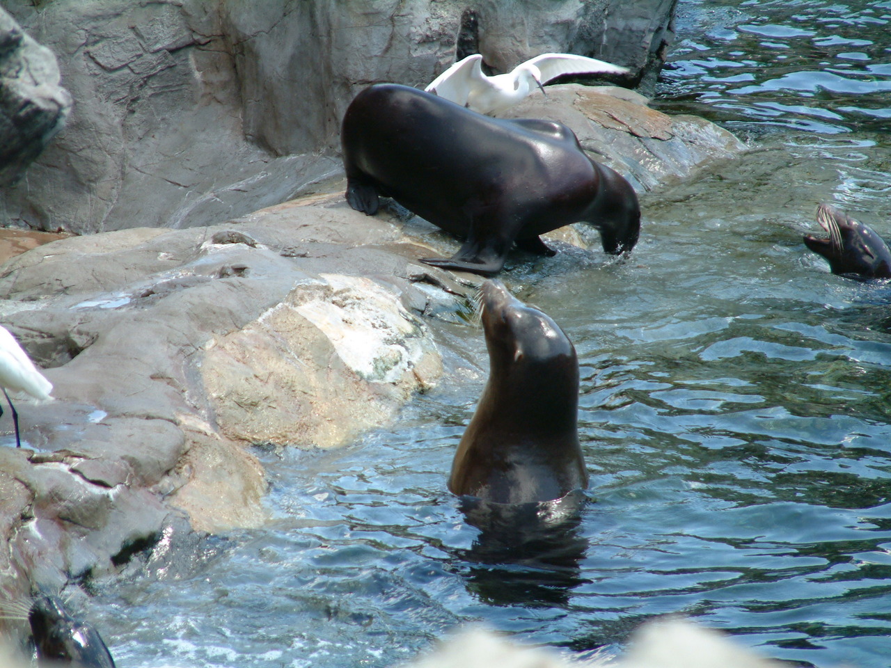 seaworld4-03_001.jpg