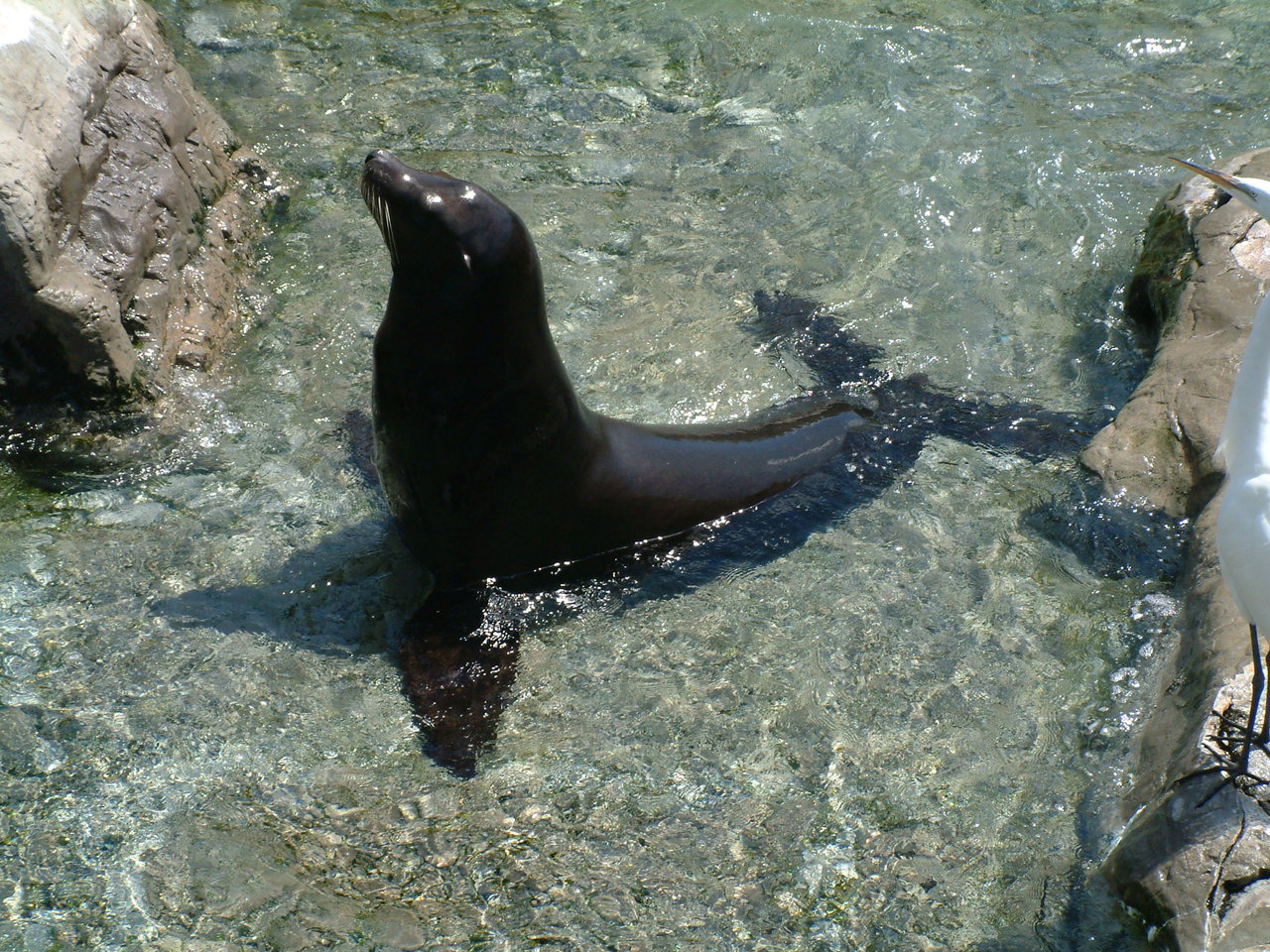 seaworld4-03_003.jpg