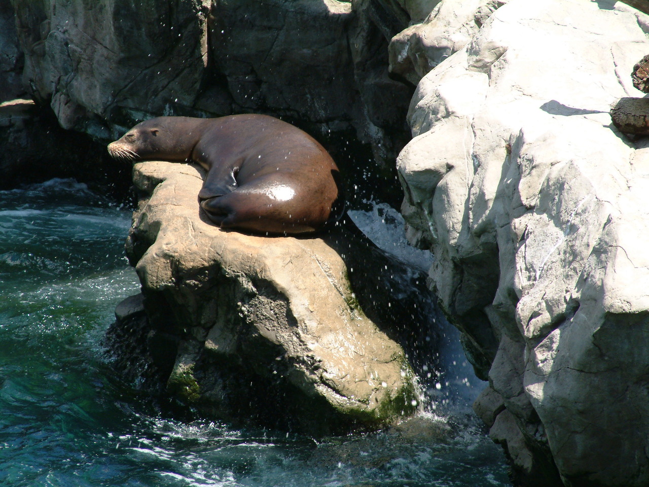 seaworld4-03_006.jpg