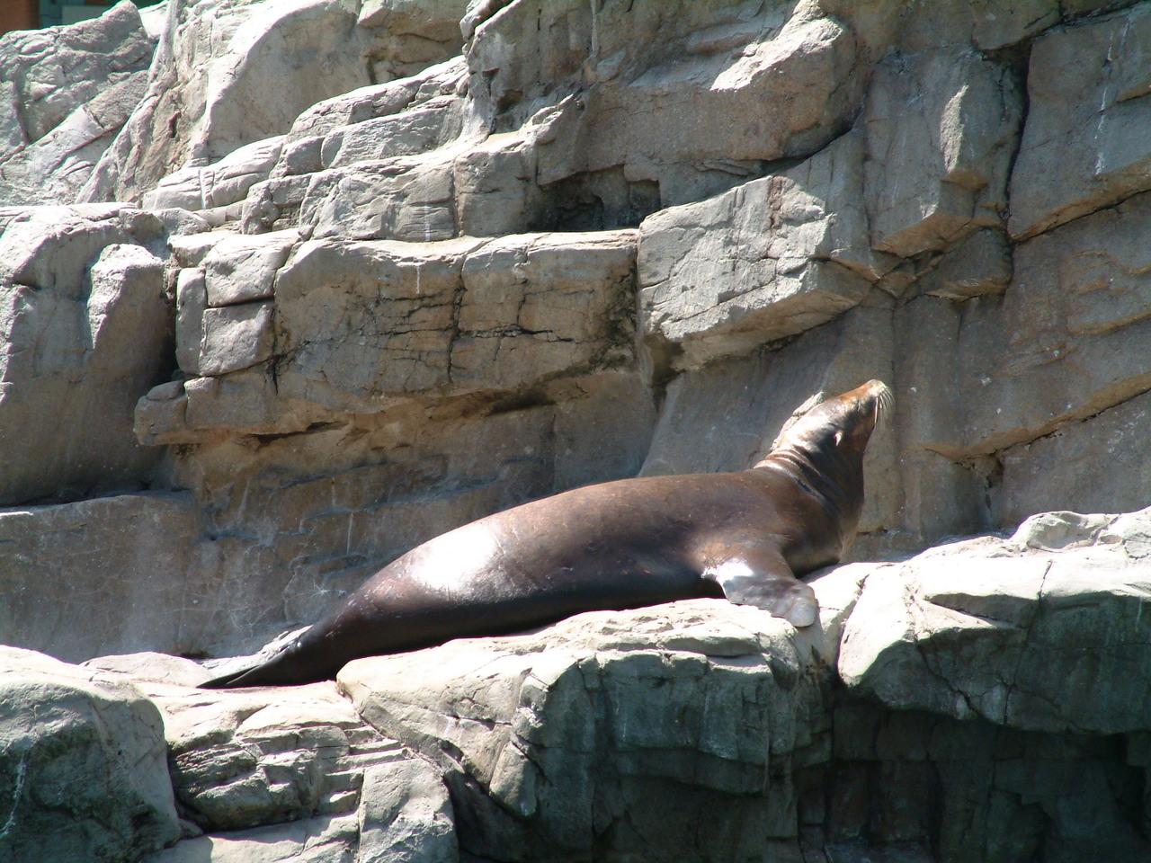 seaworld4-03_015.jpg