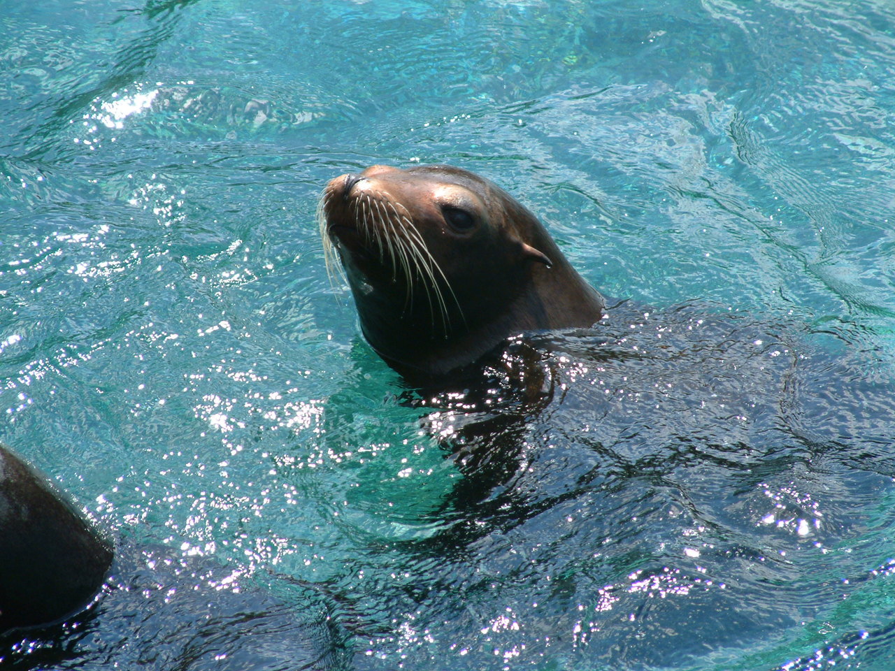 seaworld4-03_017.jpg