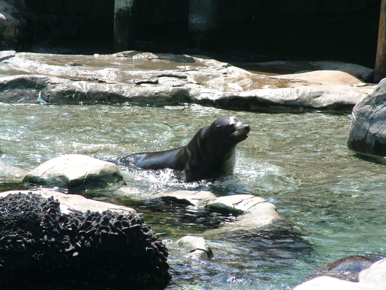 seaworld4-03_019.jpg