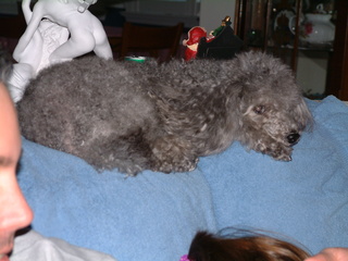 Filename=12-22-02-_039.jpg
Filesize=1239KiB
Dimensions=2048x1536
Date added=Sep 28, 2019 12-22-02-_039.jpg