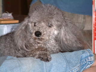 Filename=12-24-02_28129_071.jpg
Filesize=1232KiB
Dimensions=2048x1536
Date added=Sep 28, 2019 12-24-02_28129_071.jpg